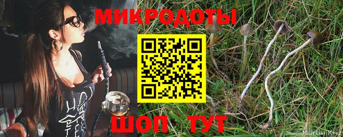 Псилоцибиновые грибы MAGIC MUSHROOMS Михайловск
