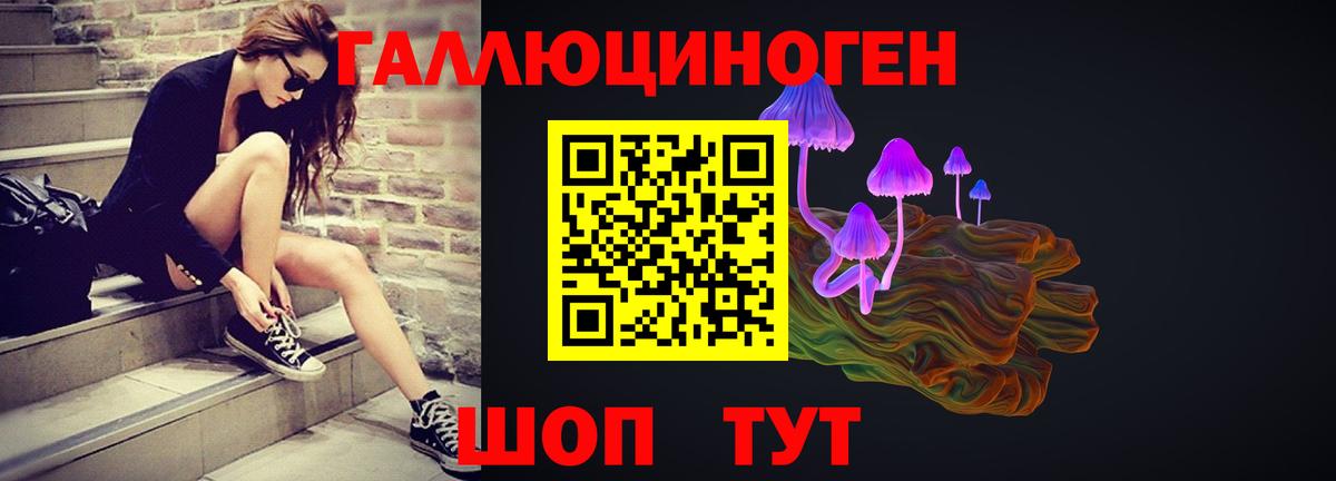 Псилоцибиновые грибы Psilocybine cubensis  Вход с VPN  закладки  Псилоцибиновые грибы MAGIC MUSHROOMS  Михайловск 